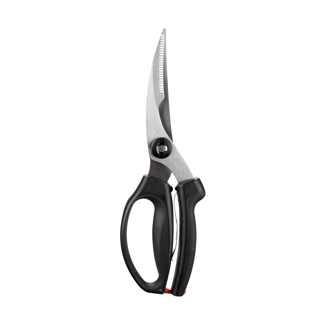 poultry-shears-o0 1072292V3.jpg