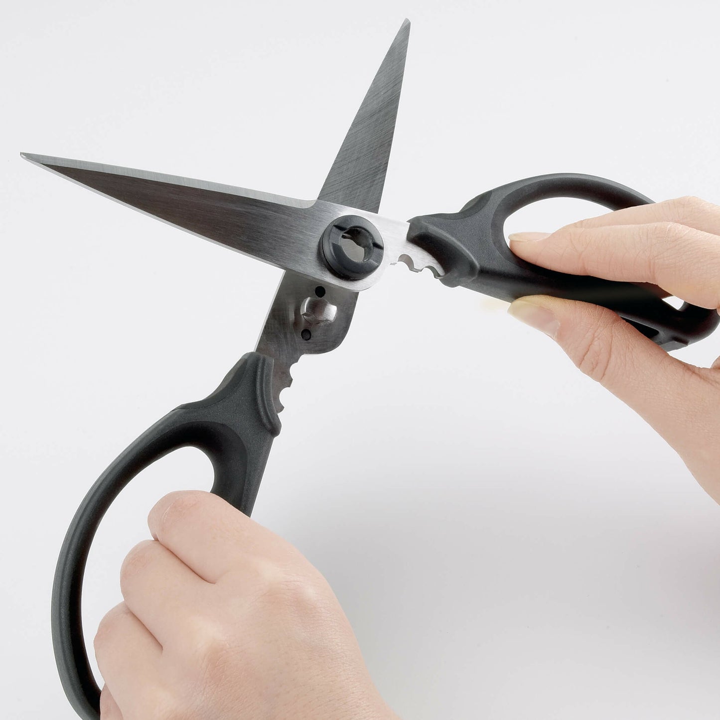 kitchen-and-herb-scissors-l1 gg_1072121_4_1_.jpg