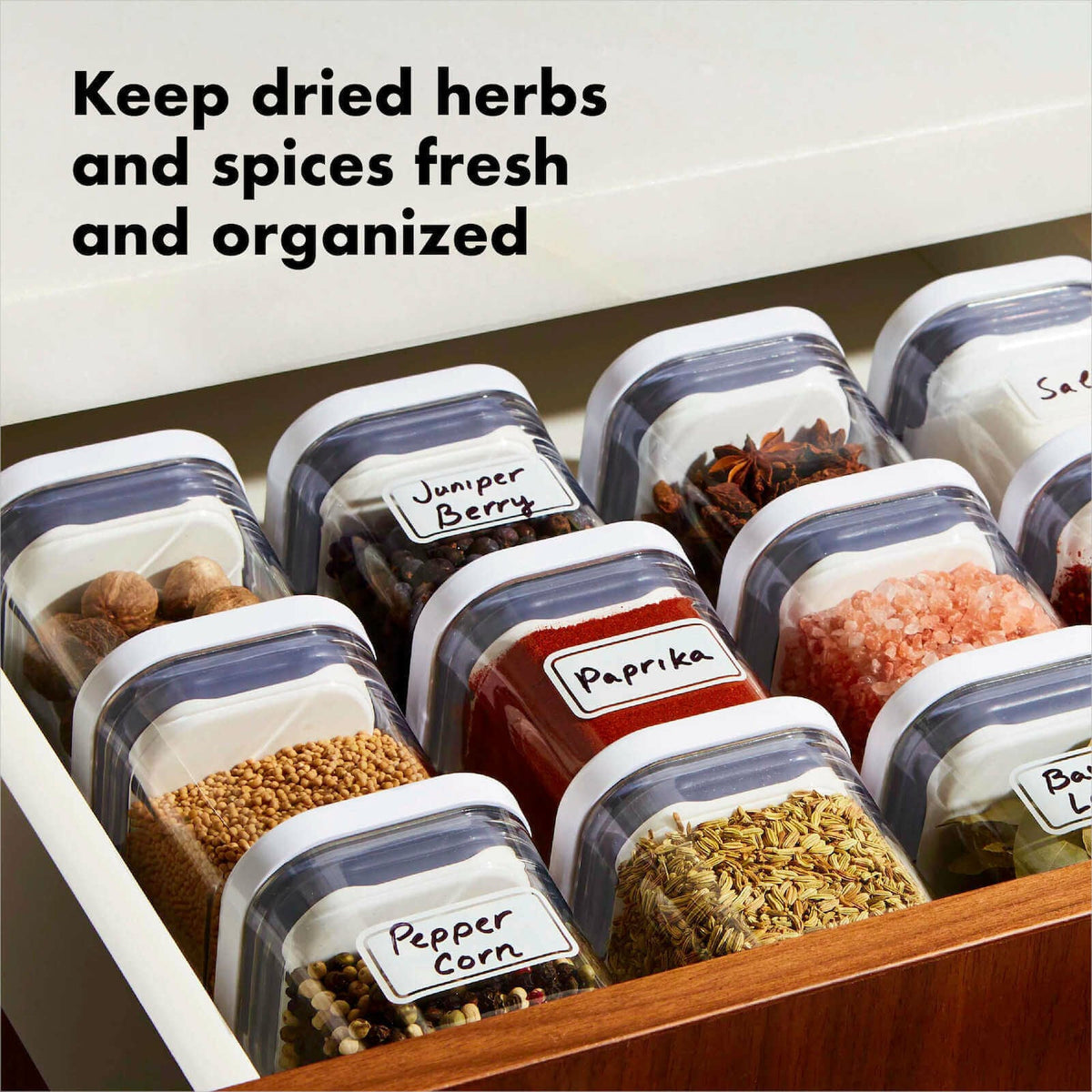 pop-4-piece-mini-container-set-k6 4_pieceaplusartboard_1-100_1_1_.jpg