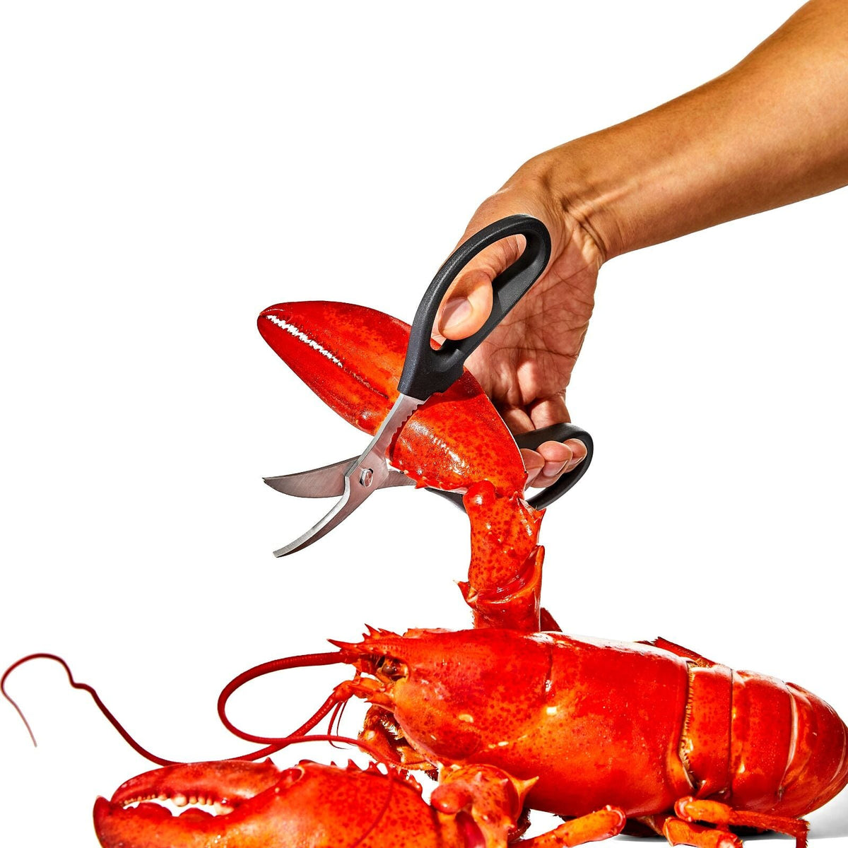 seafood-scissors-c1 gg_11350600_seafoodscissors_03_p.jpg