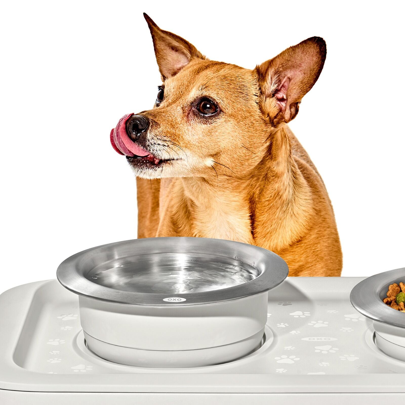 oxo-pet-nonslip-bowl-medium-2-cups-480-ml-i0 pet_7101900_nonslip-medium-bowl_pdp_02.jpeg