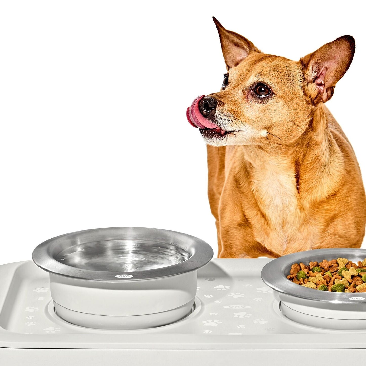 oxo-pet-nonslip-bowl-large-4-cups-950-ml-h5 pet_7102000_nonslip-large-bowl_pdp_02.jpeg