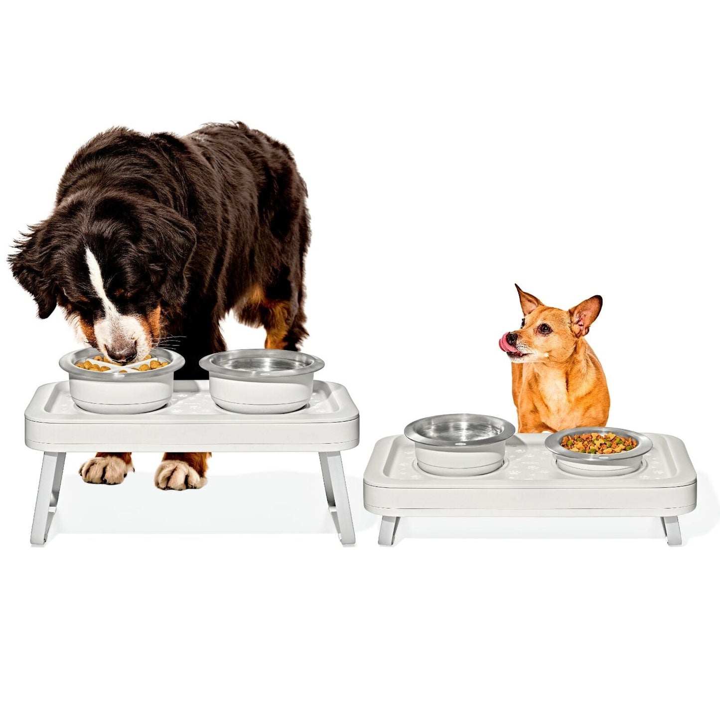 oxo-pet-adjustable-elevated-feeder-u0 pet_7102300_elevated-feeder_pdp_01.jpeg