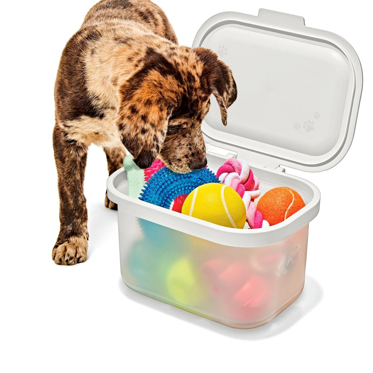 oxo-pet-multi-purpose-container-z2 pet_7301300_multi-purpose-container_pdp_06.jpeg