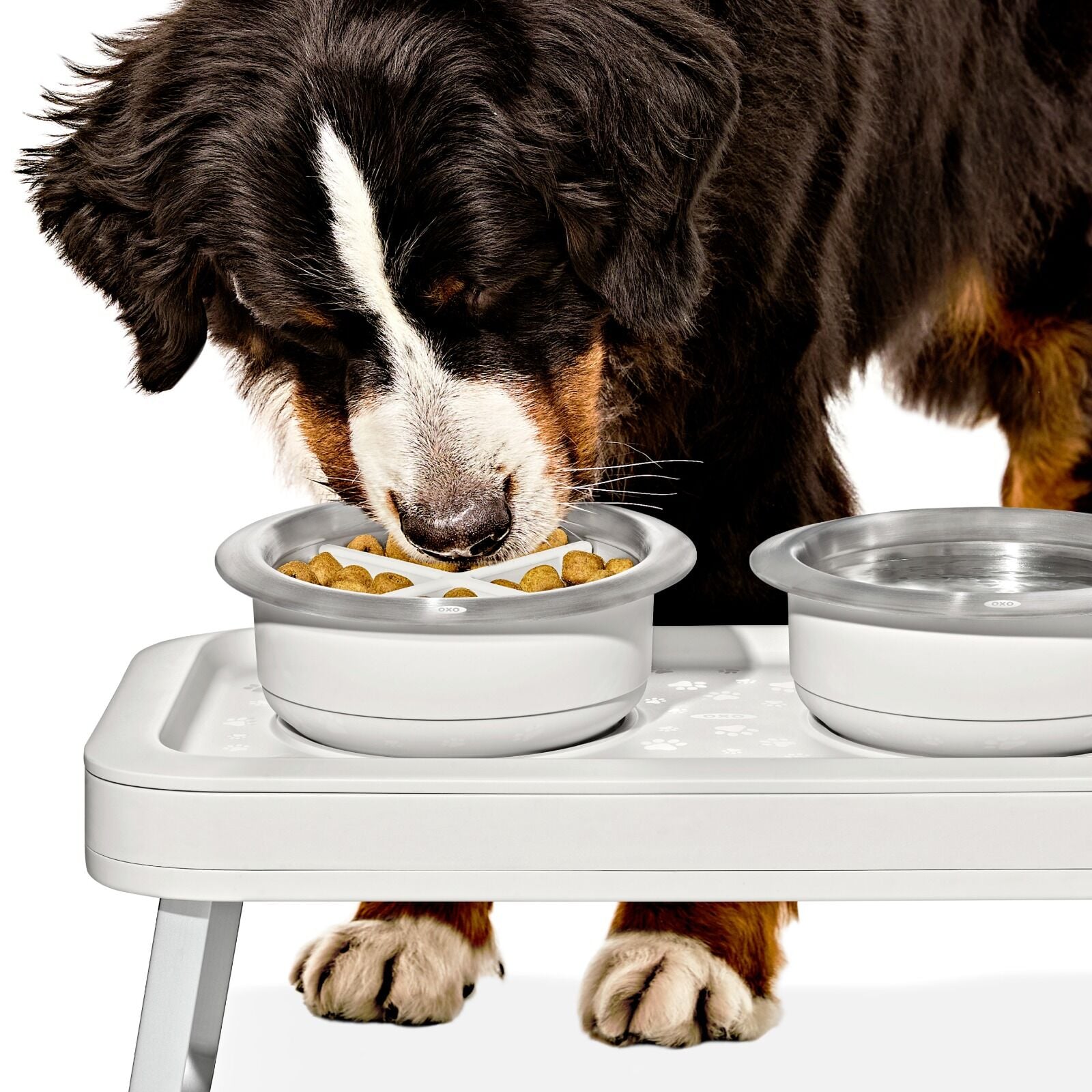 oxo-pet-easy-clean-slow-feeder-medium-2-cups-489-ml-e8 pet_slow-feeder-medium-large_pdp_02_1.jpeg