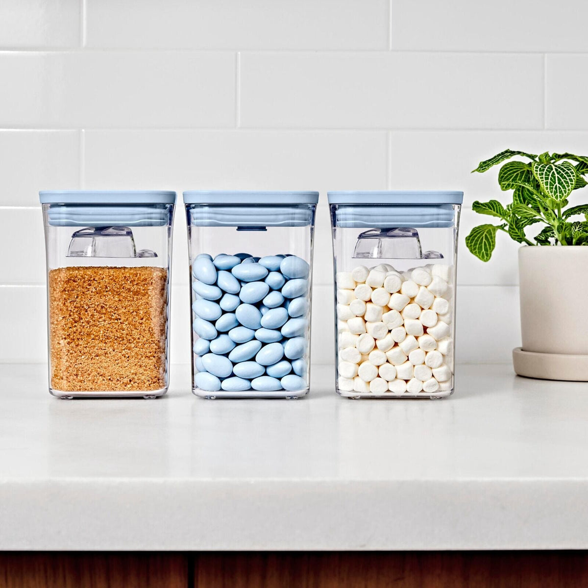 3-piece-pop-container-set-with-mini-scoops-g2 pop_3pc-set-sky-blue_pdp_02.jpg